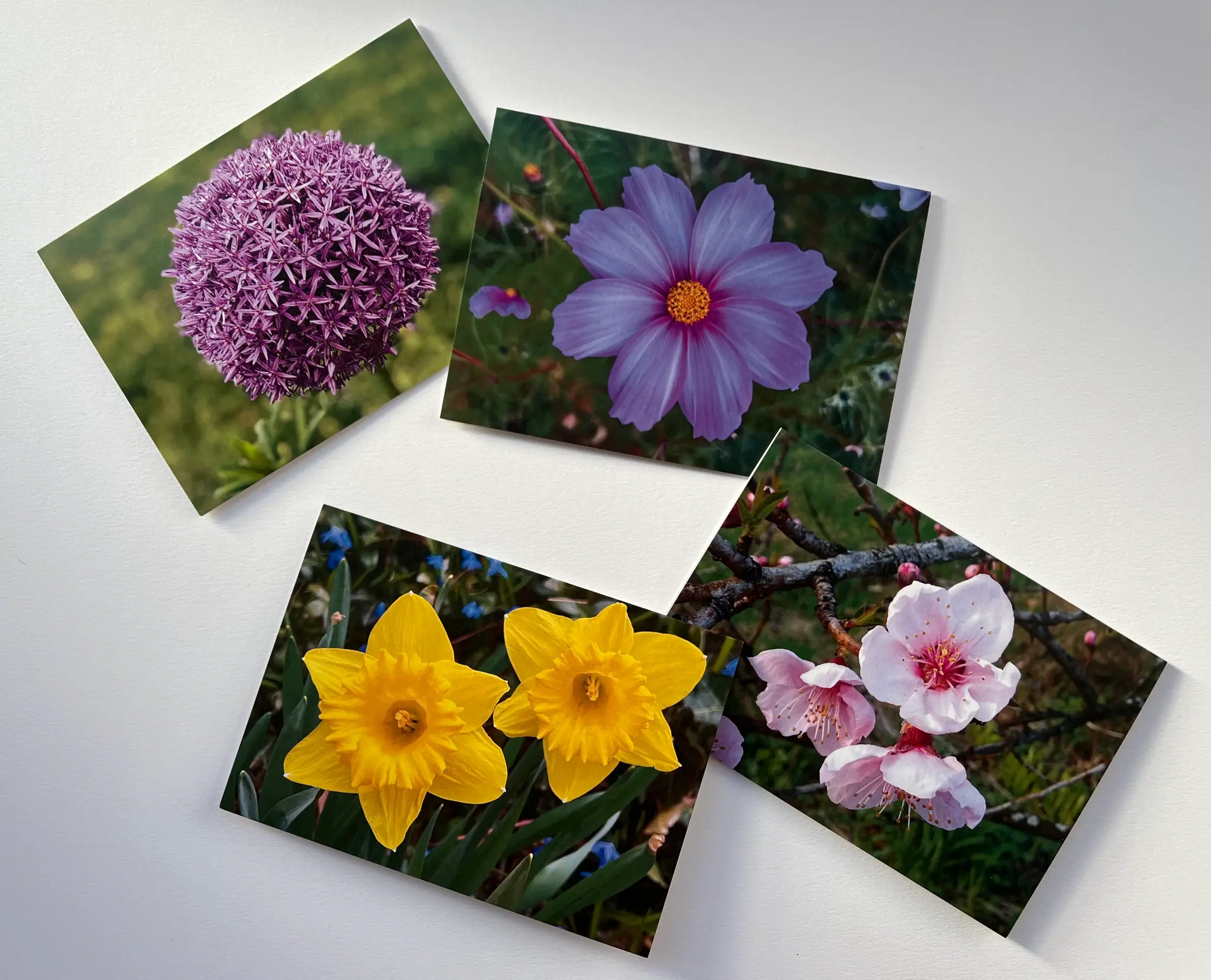 Spring note cards